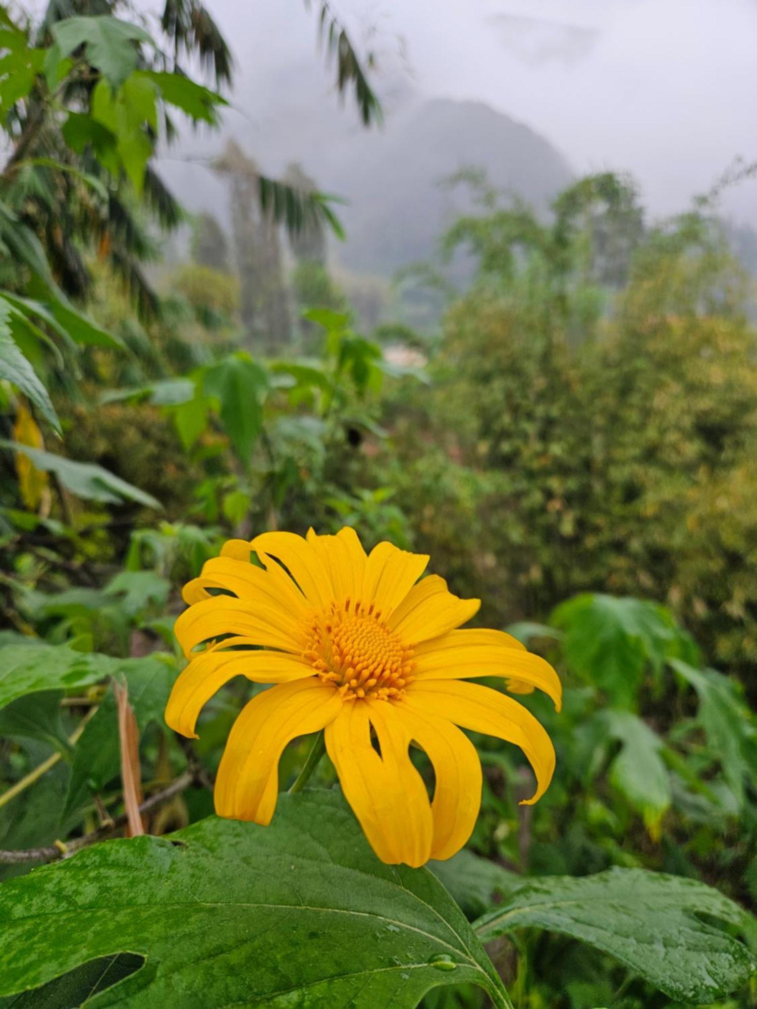 Arum Bromo Villas Ngadisari 外观 照片